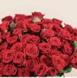 Rose Rosse 